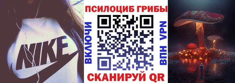 Купить закладки  Барыш  Псилоцибиновые грибы Magic Shrooms 